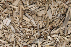 biomass boilers Markbeech